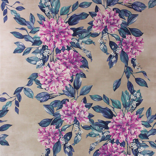 Rhodora W7022-02